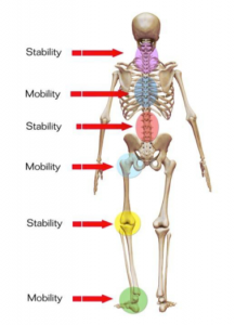 Injuries  Michael Boyle's Strengthcoach.com Blog